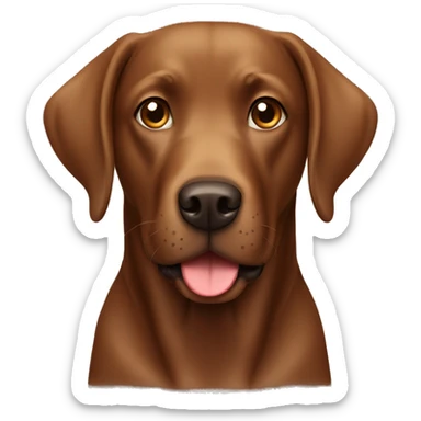 Brown labrador dog  sticker