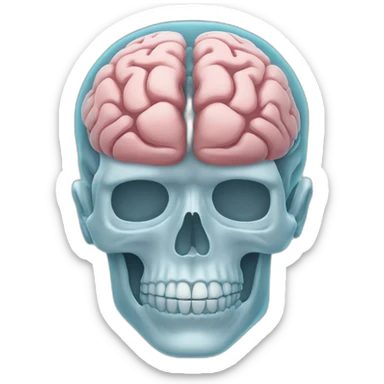 x ray of human and his brain sticker