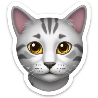 Interesting cat sticker