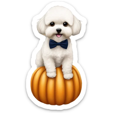 alricot maltipoo sitting on large pumpkin wearing a navy blue bow tie  sticker