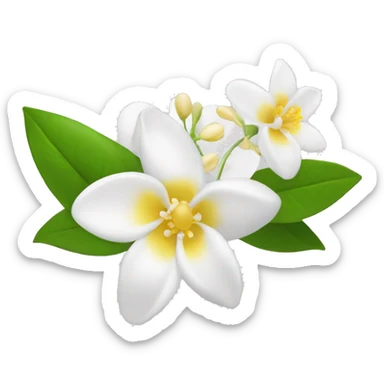 Jasmine's flowers with white petals and a yellow center of stamens sticker