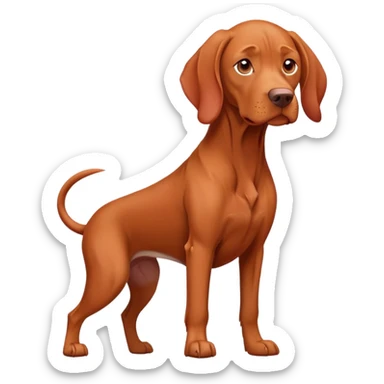 A vizla dog
 sticker