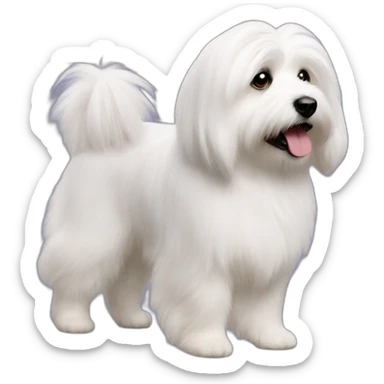 coton de tulear walking sticker