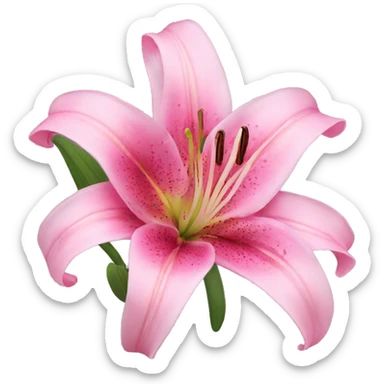 Pink lily sticker