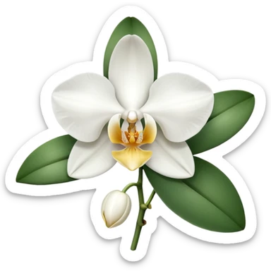 White colour orchid emoji sticker