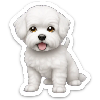 perro bichon maltés blanco sticker