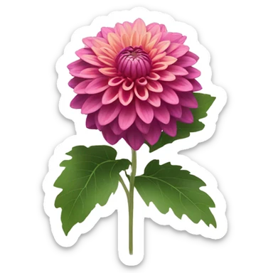 Dahlia flower sticker