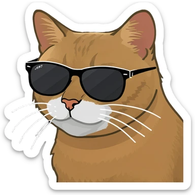 Cat with sunglasses sticker
