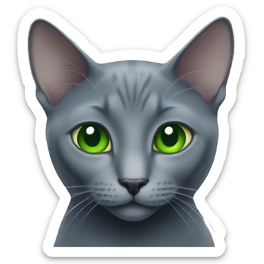 russian blue cat with green eyes  sticker