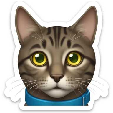 Dark brown tabby cat blue collar yellow green eyes sticker