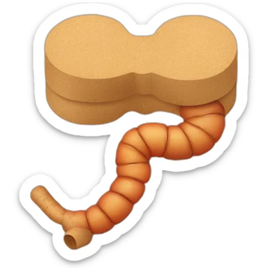 digestive tract with cork sticker