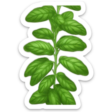 basil leafs sticker