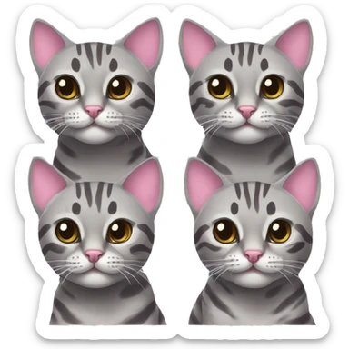 Two grey bengal cats. One grey bengal cat and one grey bengal cat with a pink bow on its head sticker
