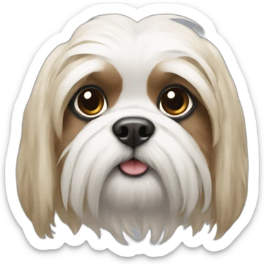 Shitzu sticker