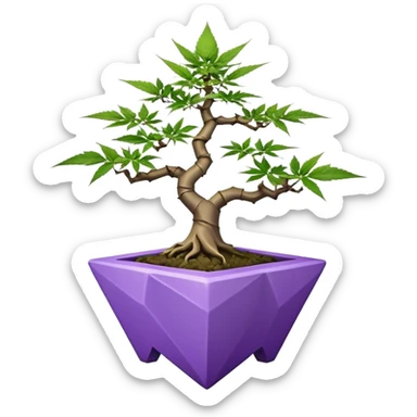  small short bonsai pot trident maple purple marijuana with triangular angular faceted asymmetrical originally shaped body  sticker