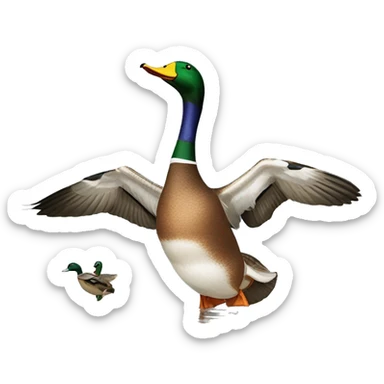 Mallard Duck landing on Decoys sticker