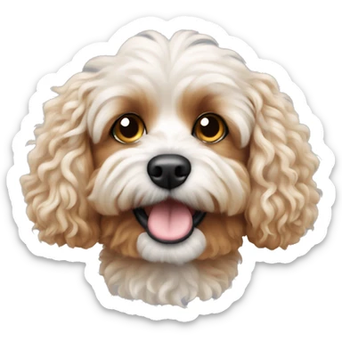 poddle cavapoo dog  sticker
