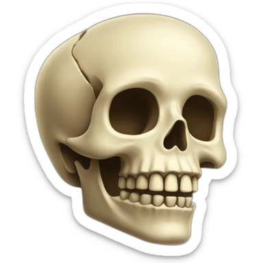 vertebra pinocchio sticker