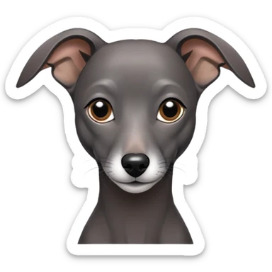 black Italian greyhound  sticker