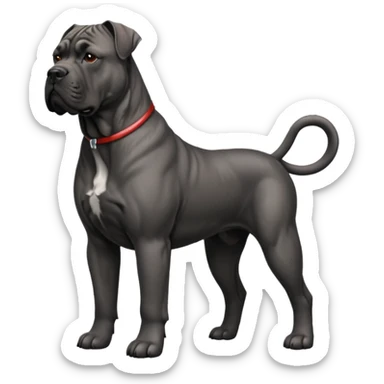 Cane Corso Dog Preliminary Acceptance Inspection sticker