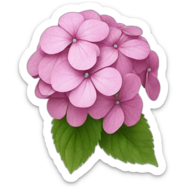 Flower hydrangea  sticker