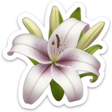 lily sticker