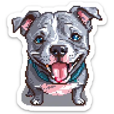 round circle puppy head full grey bleu staffy, big open mouth, big tongue out, stupid expression sticker