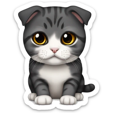 Scottish fold cat black sticker