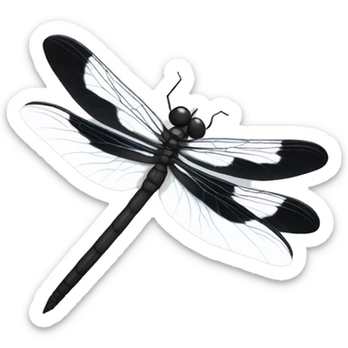 black and white dragonfly sticker