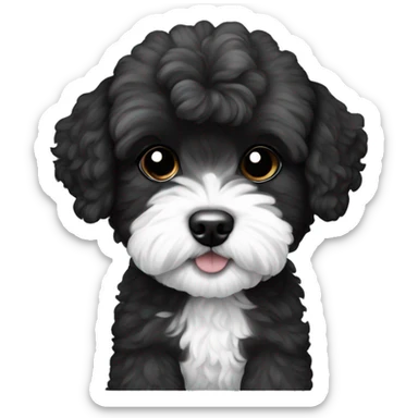 Maltipoo, half black and white sticker