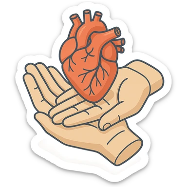 two palms holding an anatomical heart, 2D isometric style, very detailed drawing, detailed shadows and highlights, clean contours, soft lighting, transparent background sticker