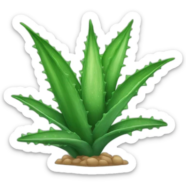 Aloe vera sticker