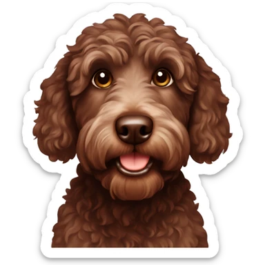 Chocolate labradoodle  sticker