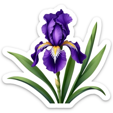 Beautiful purple iris flower with distinctive three falls and three standards, showing typical iris shape with sword-like leaves sticker