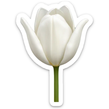 White tulips  sticker