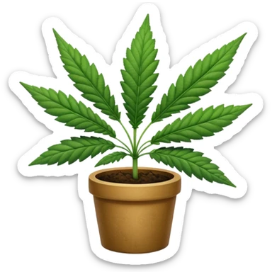 marijuana sticker