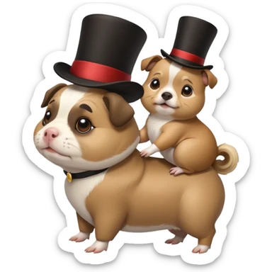a cute guinea pig wearing a top hat riding on the back of a pug dog sticker