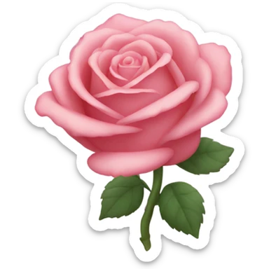 cœur rose  sticker