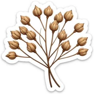 Airy and minimal, with fine stems spreading outward and clustered seeds creating a lace-like texture. sticker