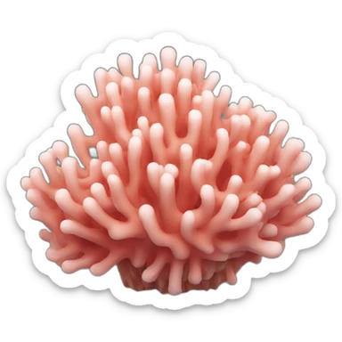 coral sticker