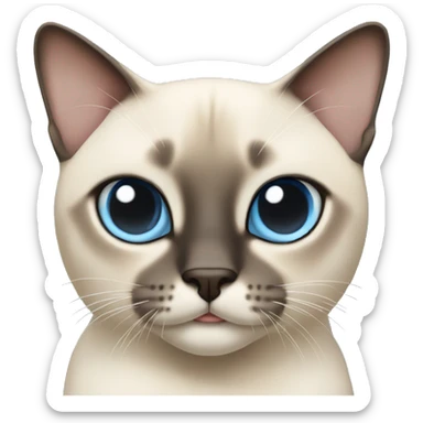 Very light Siamese cat with light blue cross eyes sticker