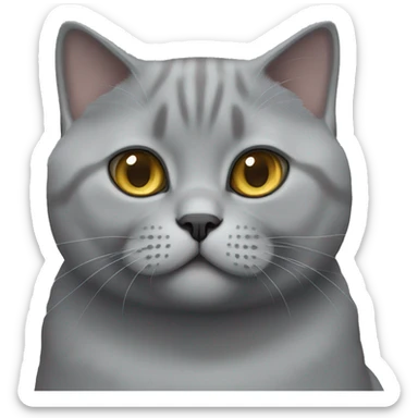 Grey british shorthair cat sticker
