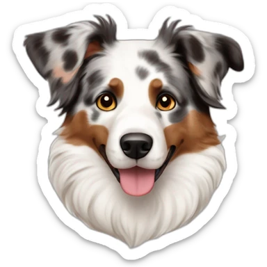 australian sheperd rouge merle sticker