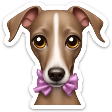 Brown Italian greyhound with bows sticker