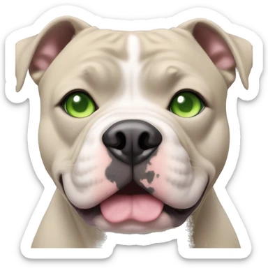 american bully lilac girl with green eyes sticker