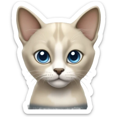 Thai breed cat with a light cream-brown body, dark gray face, ears, and paws. Short fur, sharp ears, and striking light blue eyes with an intense gaze. sticker