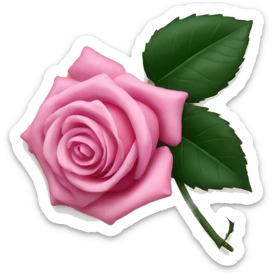 Pink rose laying on a letter sticker