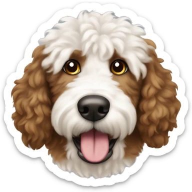 Brown and white patches Golden doodle dog showing tongue white head brown ears and brown patch on top of head fluffy head sticker