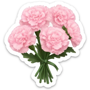 bouquet of light pink carnations sticker