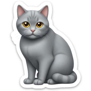 British cat with heart  sticker